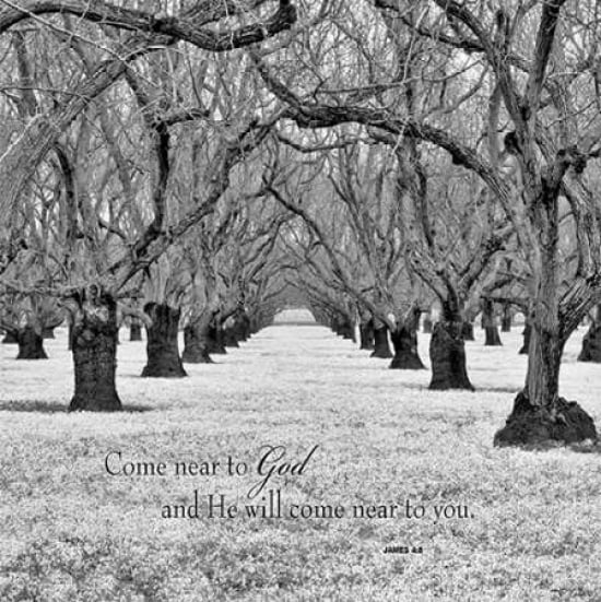 Come Near Canvas Art - Dennis Frates (24 x 24)