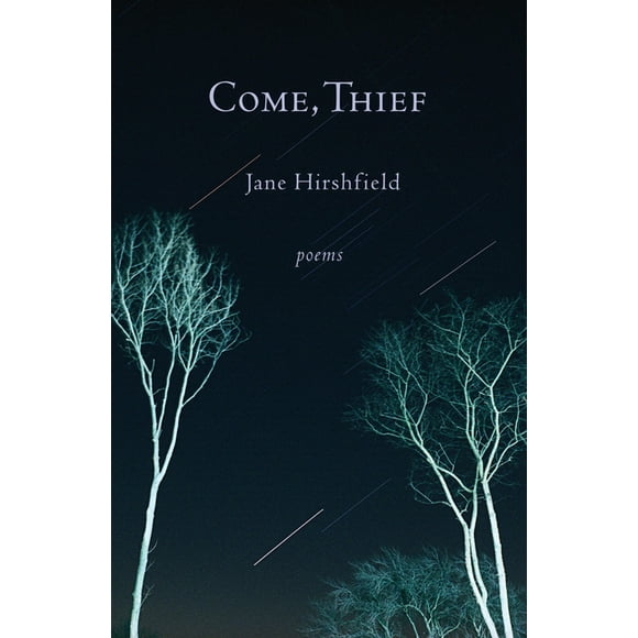 Come, Thief : Poems (Paperback)