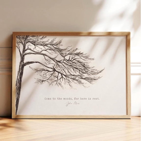 Come To The Woods For Here Is Rest Pine Tree Quote Wall Art, Unframed Canvas 8x10in