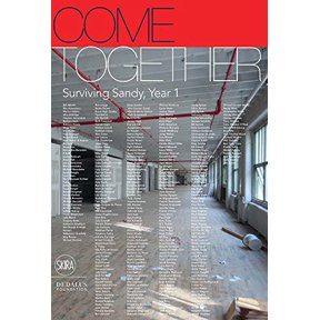 Pre-Owned Come Together: Surviving Sandy, Year 1 (Hardcover) 885722502X 9788857225029