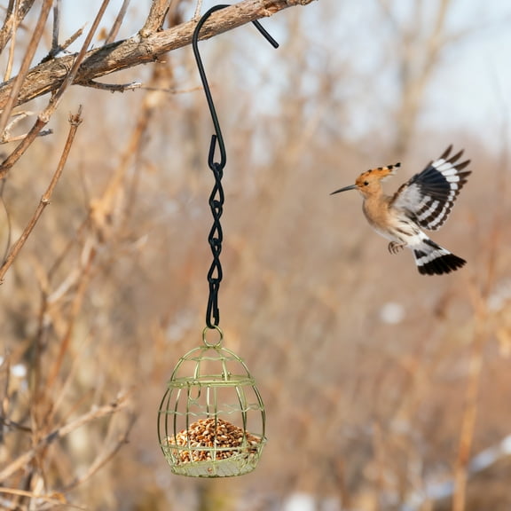 Comedero de pájaros al aire libre, comedero de pájaros colgante de primavera, comedero de jardín y patio