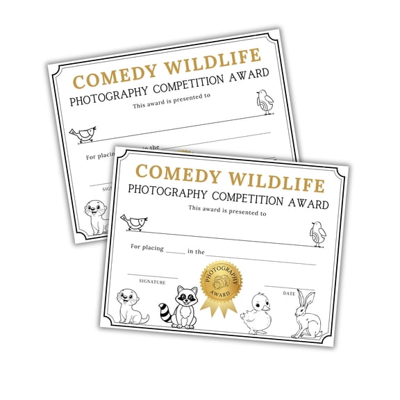 Comedy Wildlife Photography Competition Award 30pk 8.5x11 Best Winning Photo in The Wild Gold Border Mobile Young Adult Finalist 1st Place Medal Pin Ribbon