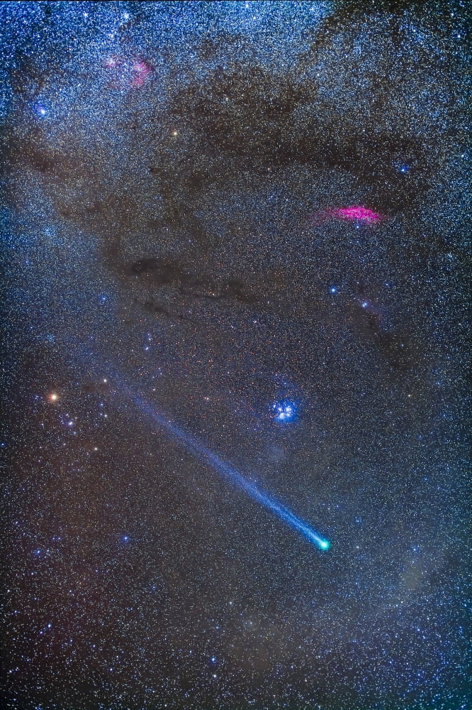 Comet Lovejoys long ion tail in Taurus Canvas Art - Alan DyerStocktrek Images (23 x 34)