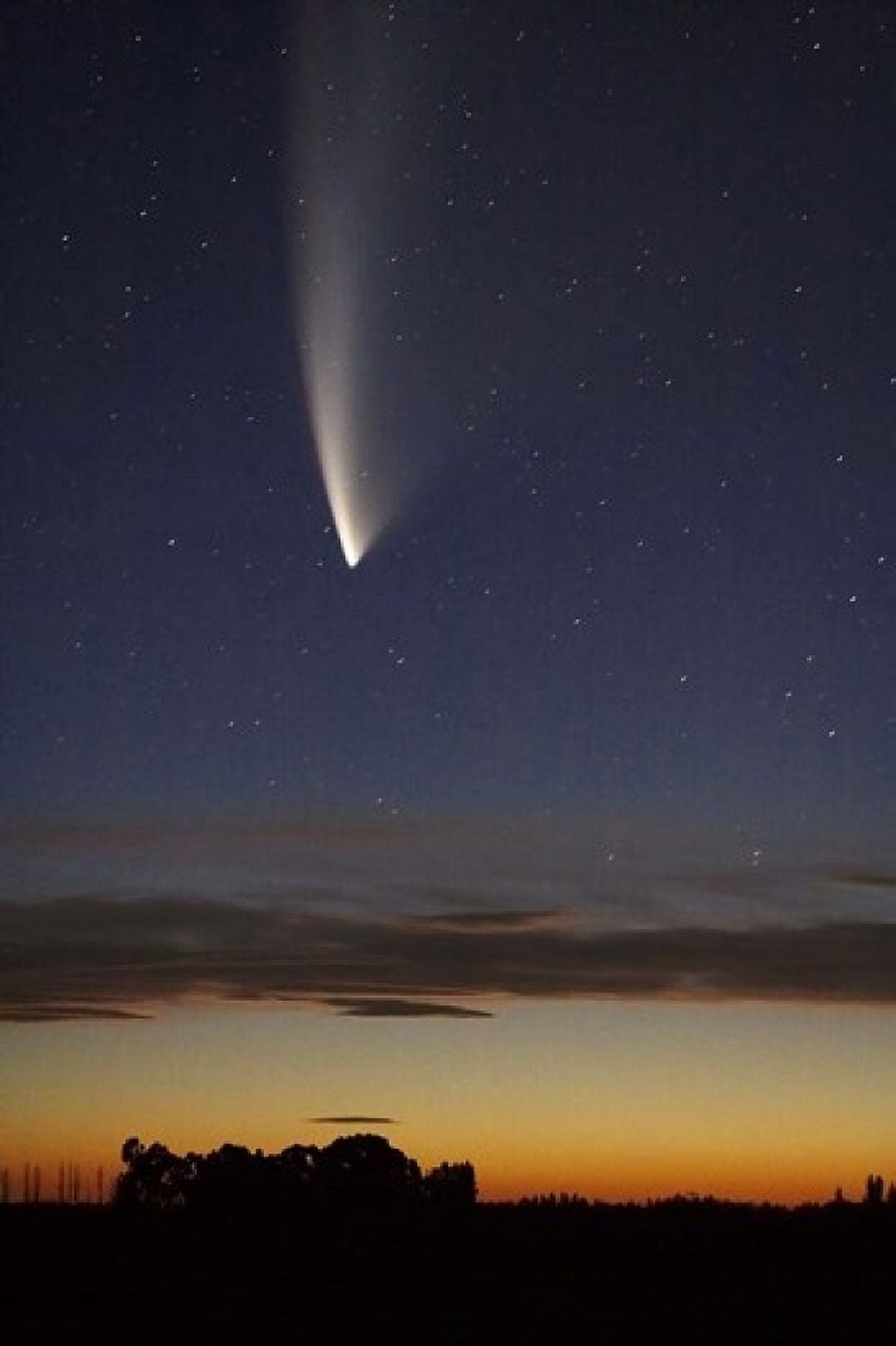 Comet McNaught South Island New Zealand Canvas Art - David Wall DanitaDelimont (12 x 17)