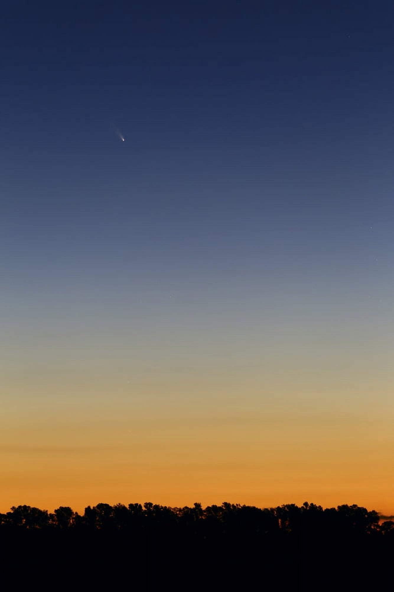 Comet Panstarrs at twilight Buenos Aires Argentina Canvas Art - Luis ArgerichStocktrek Images (12 x 18)