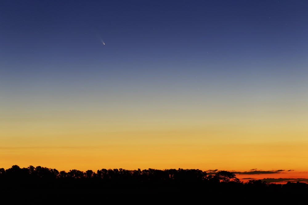 Comet Panstarrs at twilight Buenos Aires Argentina Canvas Art - Luis ArgerichStocktrek Images (18 x 12)