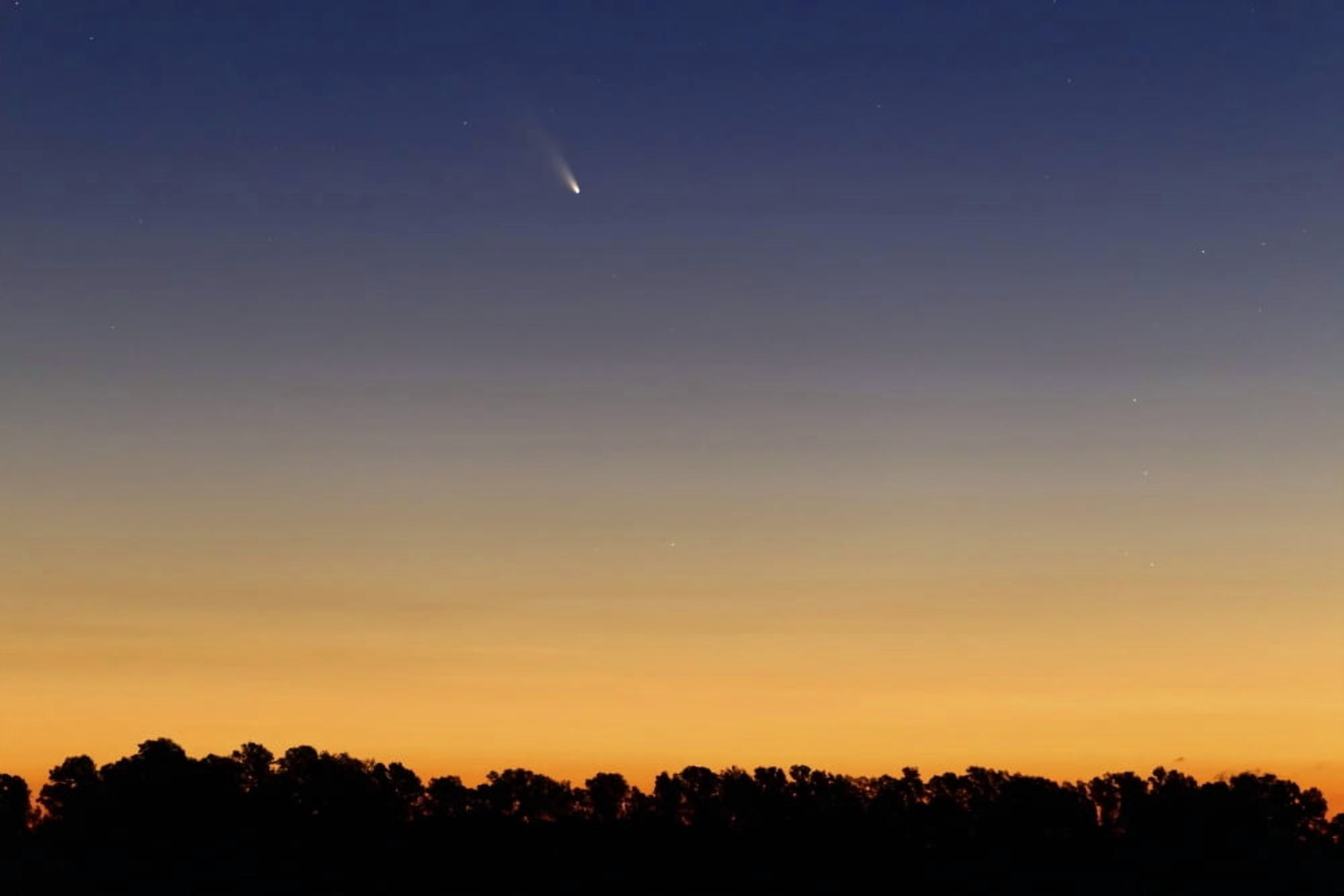 Comet Panstarrs at twilight Buenos Aires Argentina Canvas Art - Luis ArgerichStocktrek Images (18 x 12)
