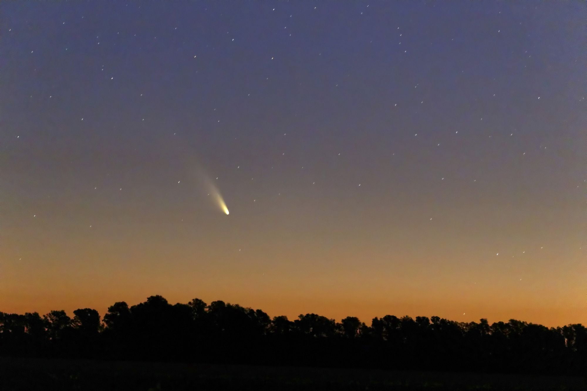Comet Panstarrs at twilight Buenos Aires Argentina Canvas Art - Luis ArgerichStocktrek Images (18 x 12)