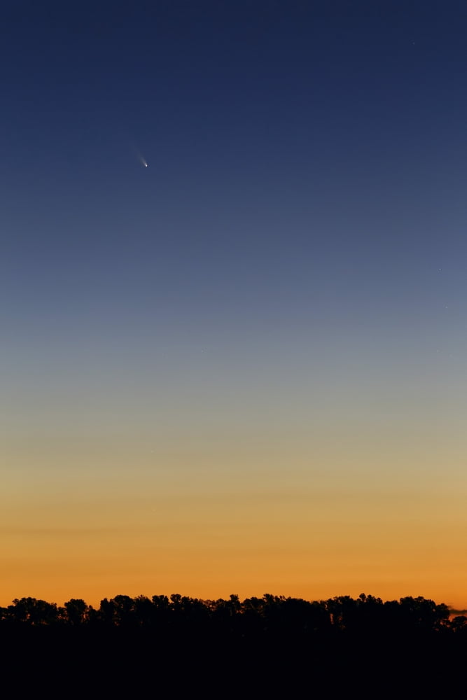 Comet Panstarrs at twilight Buenos Aires Argentina Canvas Art - Luis ArgerichStocktrek Images (23 x 35)