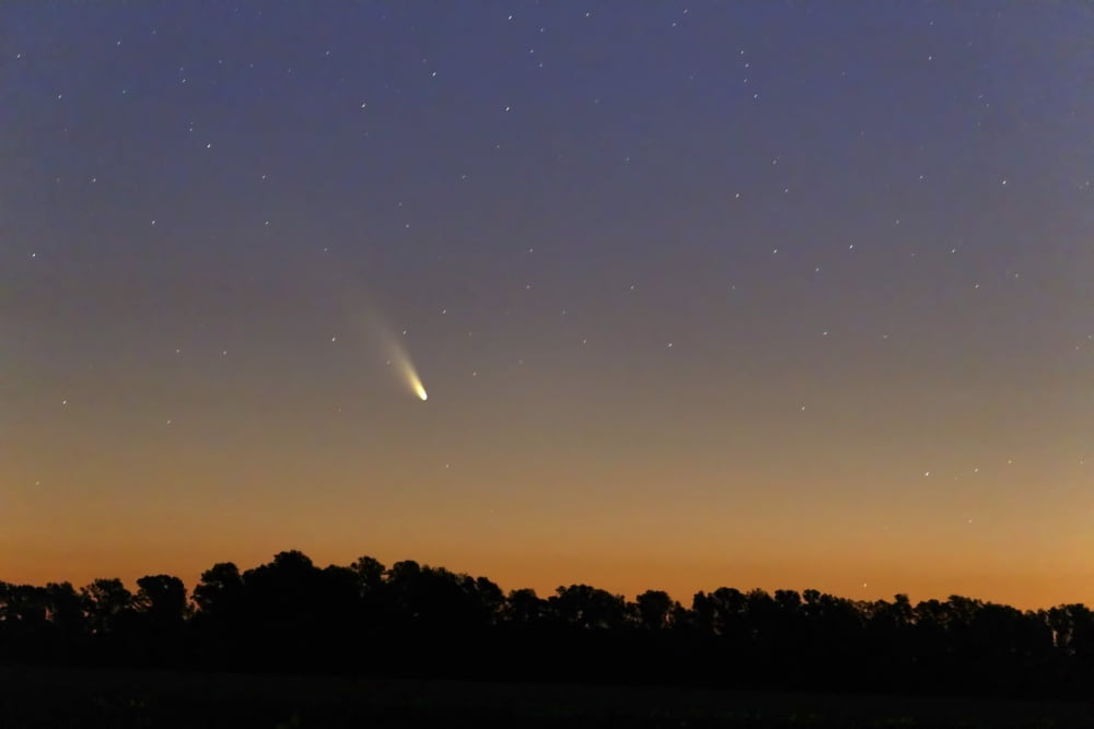 Comet Panstarrs at twilight Buenos Aires Argentina Canvas Art - Luis ArgerichStocktrek Images (35 x 23)