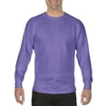 thumbnail image 1 of ComfClrs Crewneck Sweat Violet, 1 of 1
