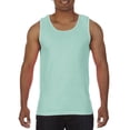 thumbnail image 1 of ComfClrs Ring Spun Tank IsReef, 1 of 1