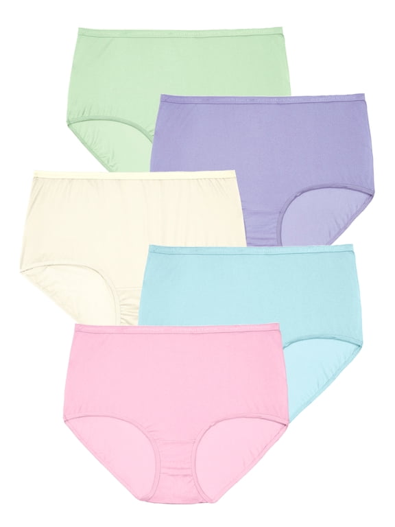 Plus Size 5-Pack Classic Silky Nylon Brief