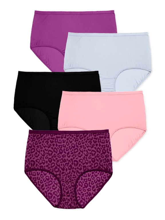 Plus Size 5-Pack Classic Silky Nylon Brief
