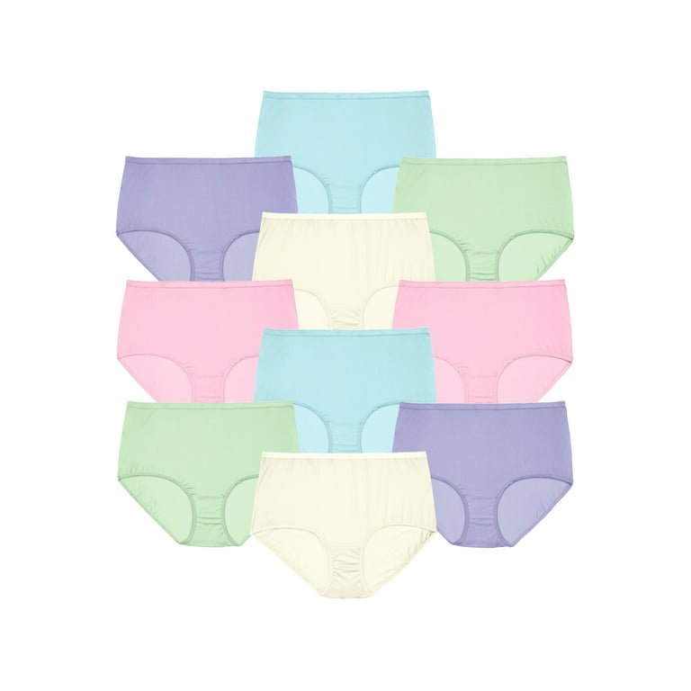Comfort Choice Women's Plus Size Nylon Brief 10-Pack Underwear