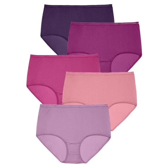Comfort Choice Women's Plus Size Full Coverage Nylon Brief 5-Pack