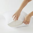 thumbnail image 1 of Comfort Classics 3M Scotchgard Zippered Pillow Protector, Standard/Queen, 2 Pack, 1 of 5
