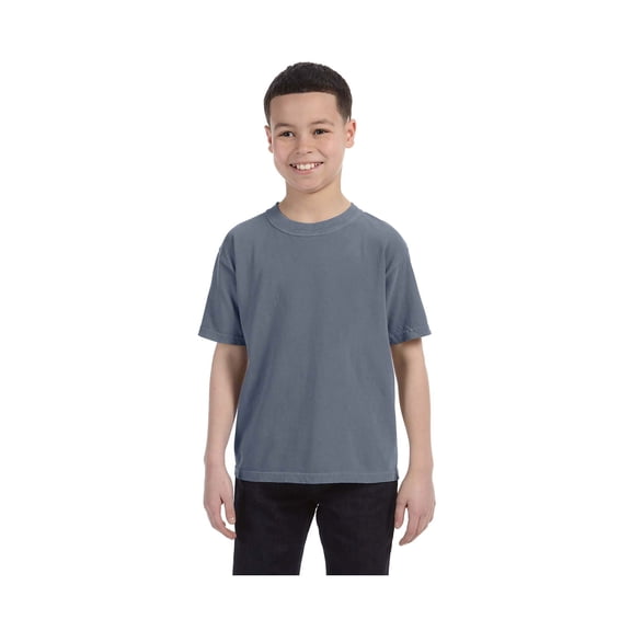 Comfort Colors 5.4 Oz. Ringspun Garment-Dyed T-Shirt (C9018)