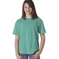 thumbnail image 1 of Comfort Colors - Garment-Dyed Youth Heavyweight T-Shirt - 9018, 1 of 1