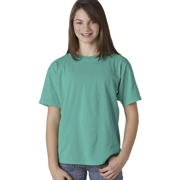 Comfort Colors 5.4 Oz. Ringspun Garment-Dyed T-Shirt (C9018)