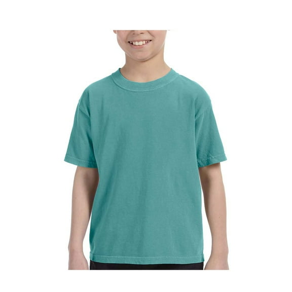 Comfort Colors 5.4 Oz. Ringspun Garment-Dyed T-Shirt (C9018)