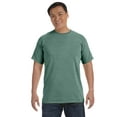 thumbnail image 1 of Comfort Colors Adult Heavyweight RS T-Shirt - C1717, 1 of 4