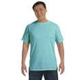 thumbnail image 1 of Comfort Colors Adult Heavyweight RS T-Shirt - C1717, 1 of 4