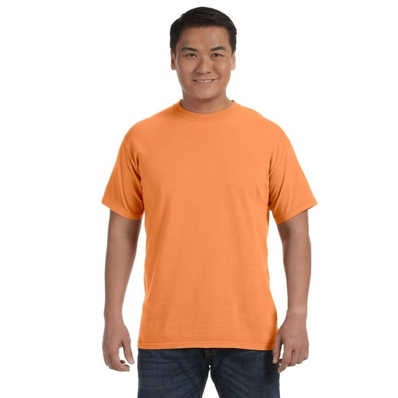 Comfort Colors Adult Heavyweight RS T-Shirt - C1717