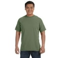 thumbnail image 1 of Comfort Colors Adult Heavyweight RS T-Shirt - C1717, 1 of 5