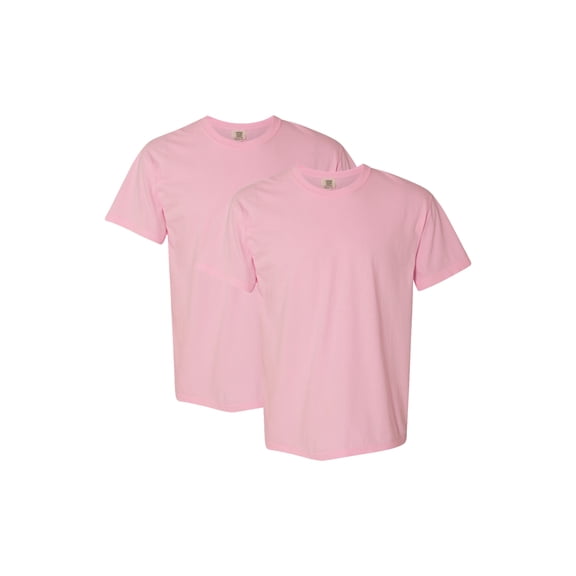 Comfort Colors Adult Heavyweight T-Shirt, 2-Pack, Blossom, XL