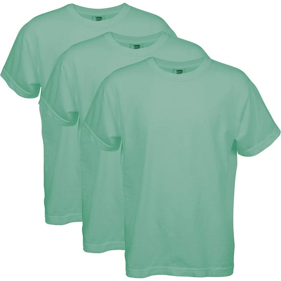 Comfort Colors Adult Heavyweight T-Shirt, 3-Pack, Island Reef, M