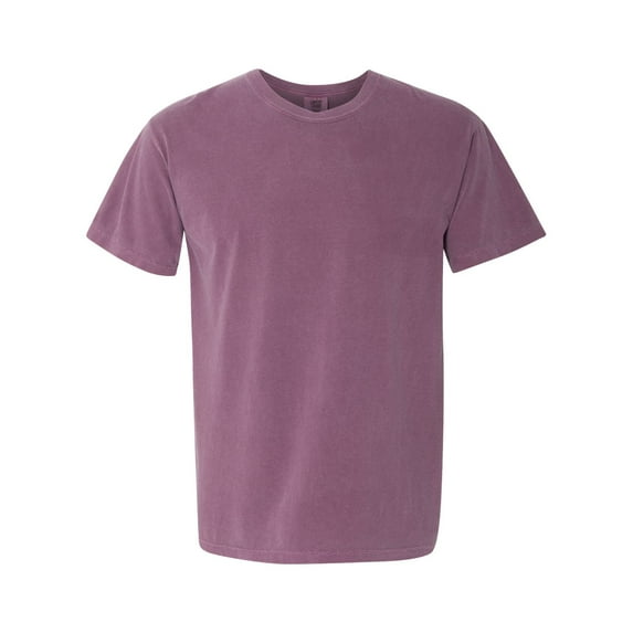 Comfort Colors C1717 Adult Heavyweight Ringspun T-Shirt (2 PACK)