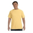 thumbnail image 1 of Comfort Colors C1717 Adult Heavyweight T-Shirt, 1 of 1