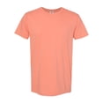 thumbnail image 1 of Comfort Colors Garment-Dyed Lightweight T-Shirt, 1 of 3