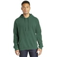 thumbnail image 1 of Comfort Colors Ring Spun Hooded Sweatshirt, 1 of 5