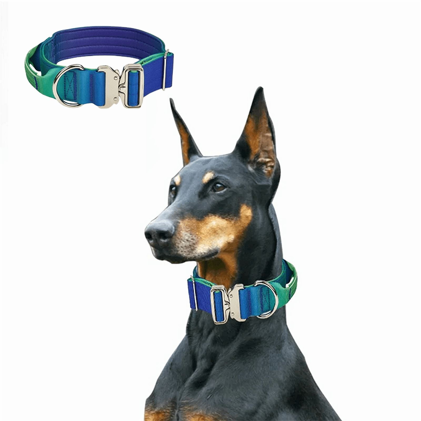 Comfort Control Tactical Triple Layer Dog Collar, Gradient Blue Green, M