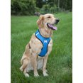 thumbnail image 1 of Comfort Padded Mesh Dog Harness and Leash, 1 of 8