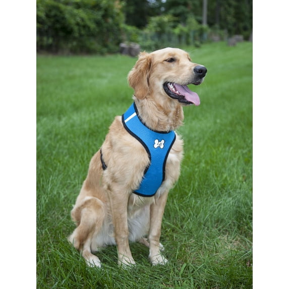 Comfort Padded Mesh Dog Harness and Leash