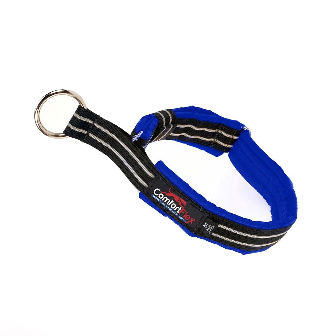 ComfortFlex Premium Padded Martingale Dog Collar for Gentle Control - Mariner Blue, Xlarge