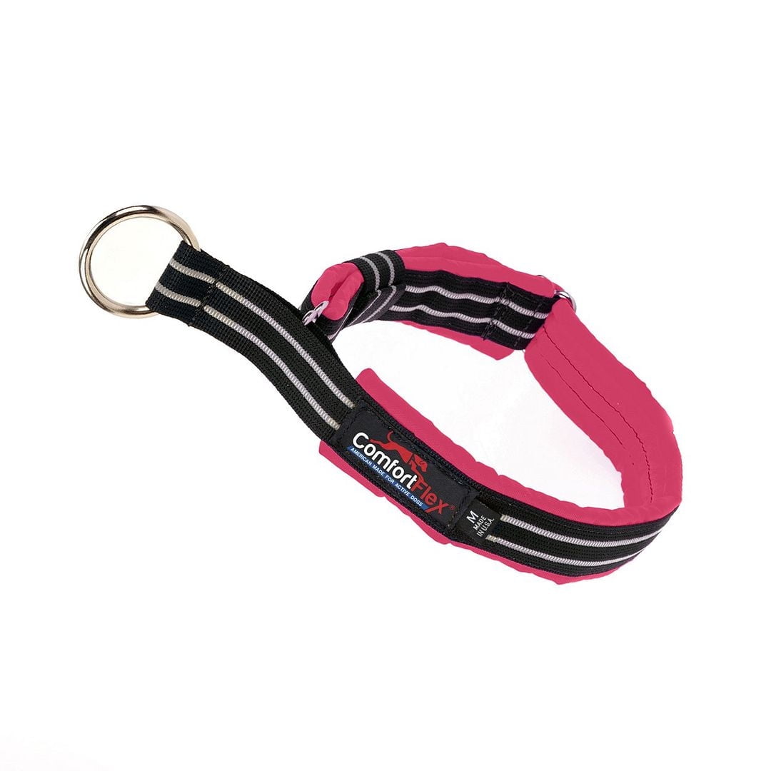 ComfortFlex Premium Padded Martingale Dog Collar for Gentle Control - Berry, Large