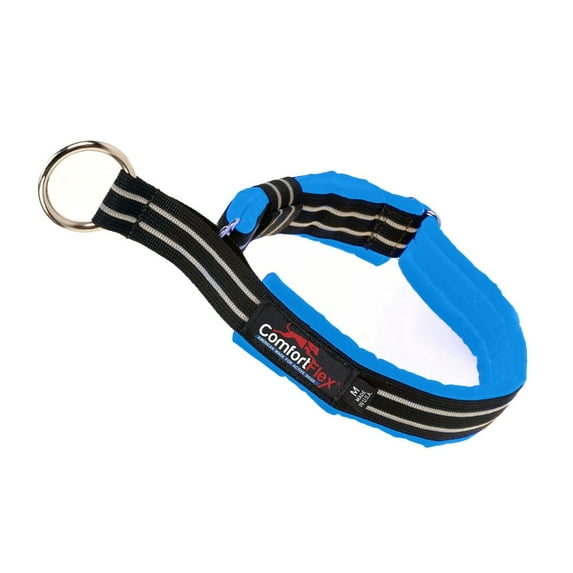 ComfortFlex Premium Padded Martingale Dog Collar for Gentle Control - Blue Jay, Xlarge