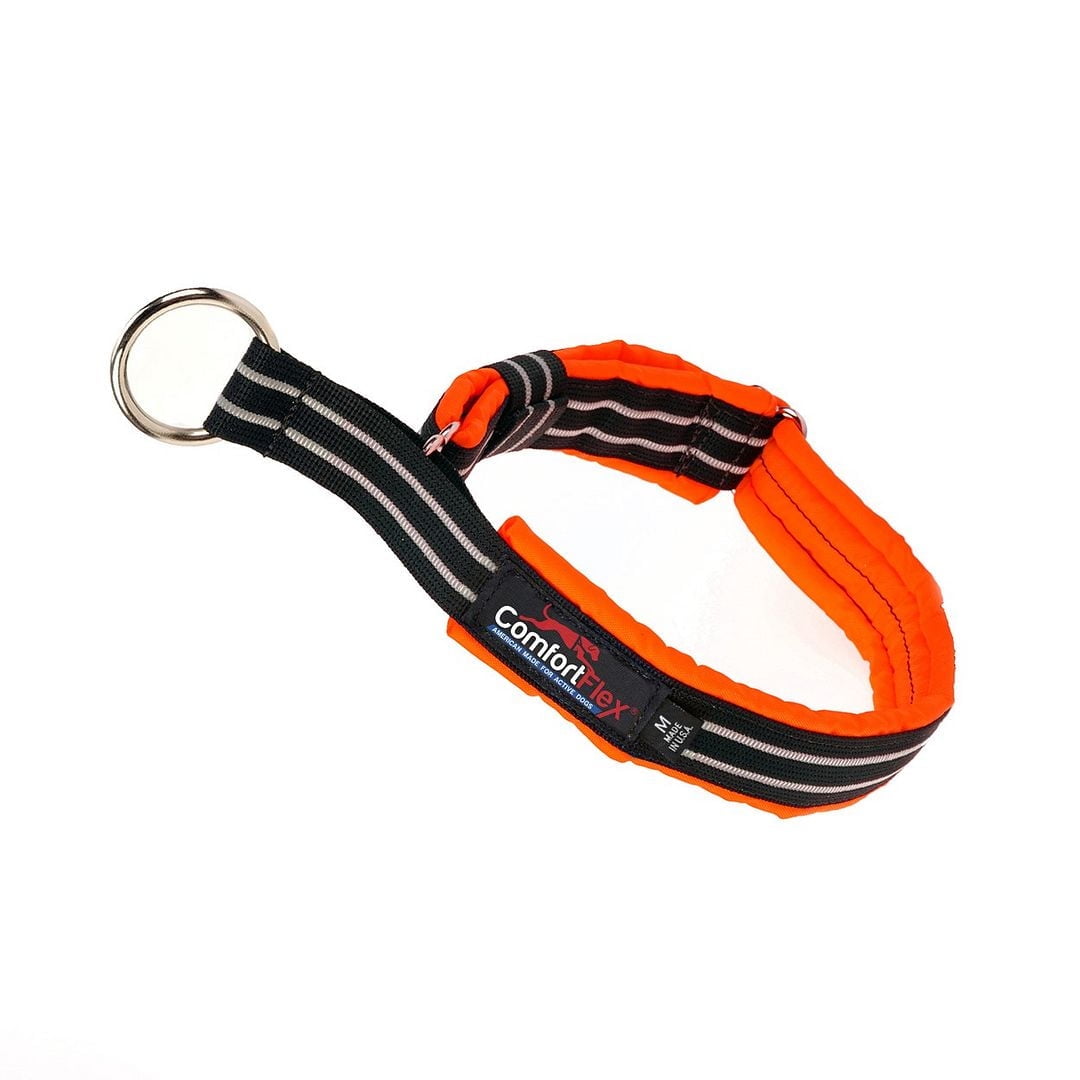ComfortFlex Premium Padded Martingale Dog Collar for Gentle Control - Hunter Orange, Large