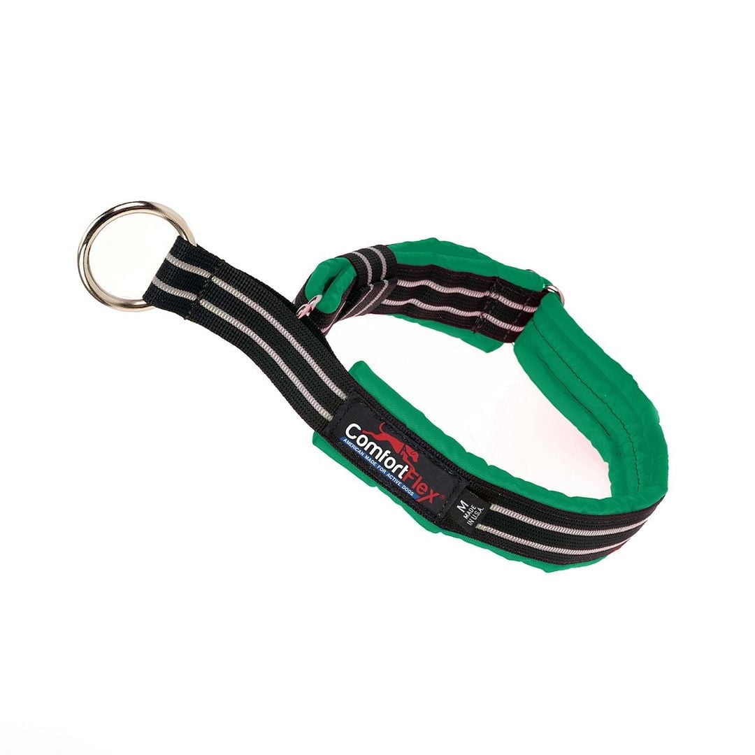 ComfortFlex Premium Padded Martingale Dog Collar for Gentle Control - Kelly Green, Xlarge