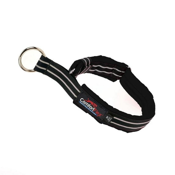 ComfortFlex Premium Padded Martingale Dog Collar for Gentle Control - Raven Black, Xlarge