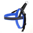 thumbnail image 1 of ComfortFlex Sport Dog Harness – No-Choke, Fully Padded, Non-Chafing Harness - Blue Jay, Medium/Large, 1 of 8