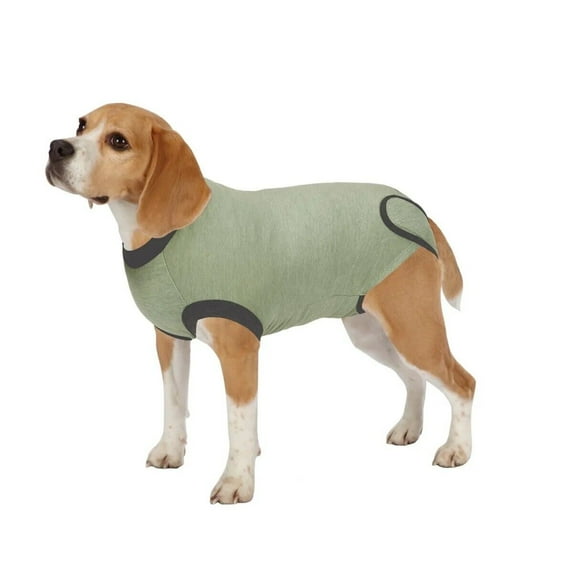 Comfortable Stress Reducing Surgical Fast Healing Recovery Suit Shirt For Dogs (XXLarge)