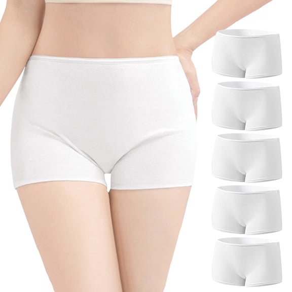 Comfortable Women's Panties Breathable Mesh Underwear for Postpartum Recovery Use or Travel Disposable and Washable Options Available 5PCS