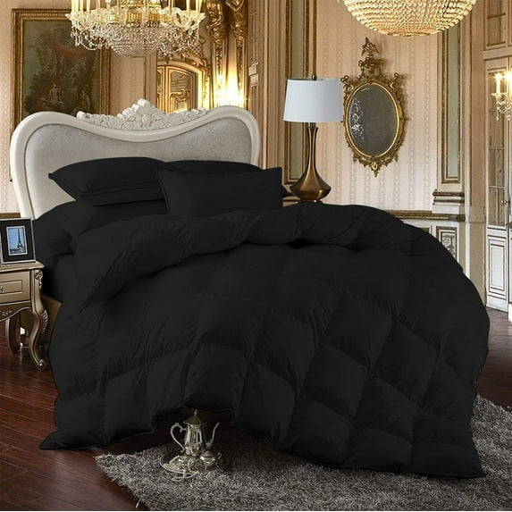 Comforter - 100% Egyptian Cotton 800 Thread-Count 400 GSM Fiber Fill Duvet Insert Comforter, 1-Piece (1pc Comforter) - Super King Size (116" x 98") Inch, Black Solid