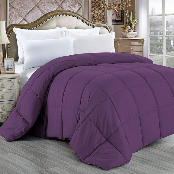 Comforter - 100% Egyptian Cotton 800 Thread-Count 400 GSM Fiber Fill Duvet Insert Comforter, 1-Piece (1pc Comforter) - Super King Size (116" x 98") Inch, Plum Solid