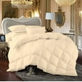 thumbnail image 1 of Comforter - 100% Egyptian Cotton 800 Thread-Count 400 GSM Fiber Fill Duvet Insert Comforter, 3-Piece (1pc Comforter & 2pc Pillow Shams) - Full/Queen Size (90" x 90") Inch, Ivory Solid, 1 of 5